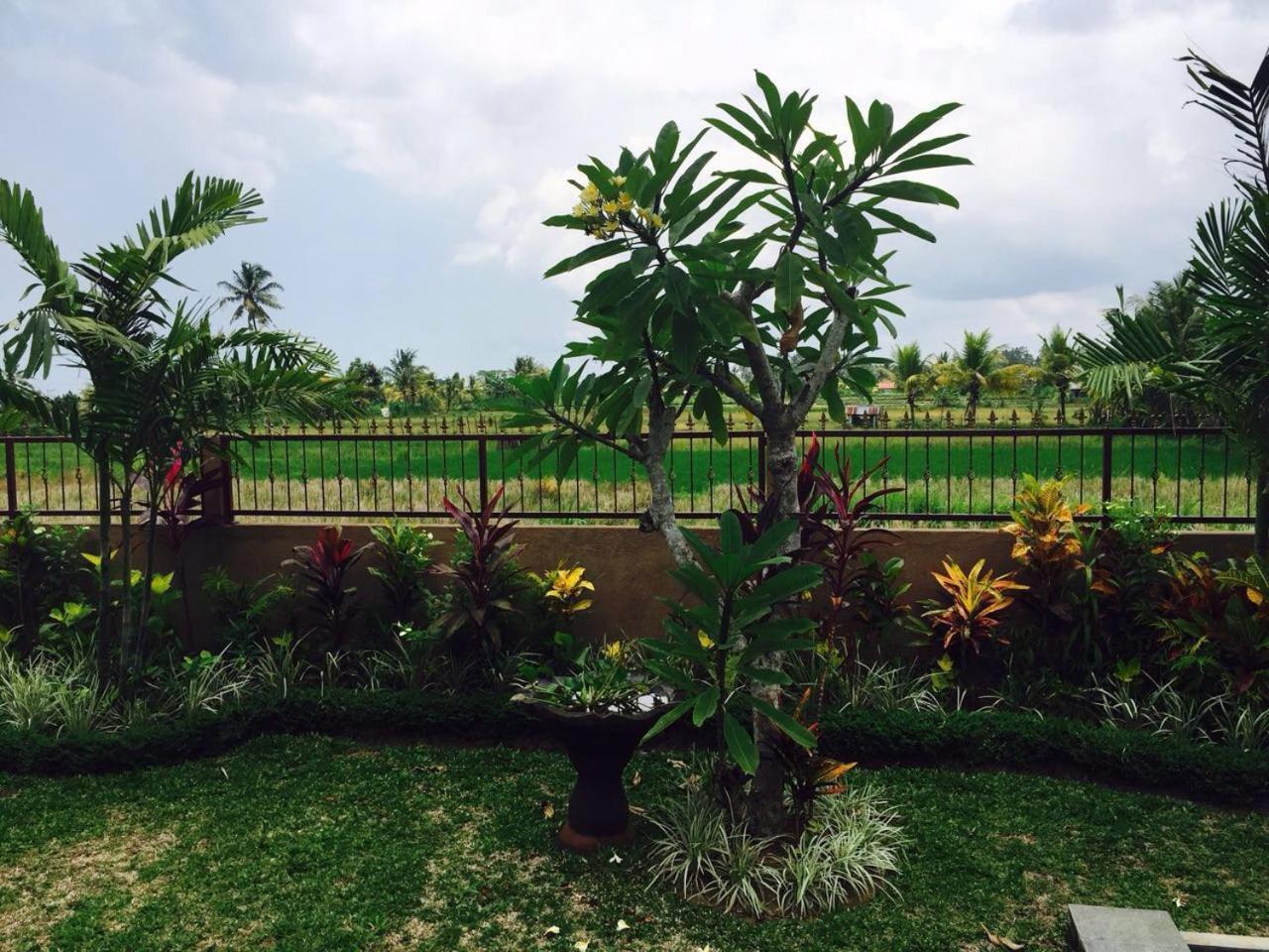 Villa Bali Green Ubud Exteriér fotografie